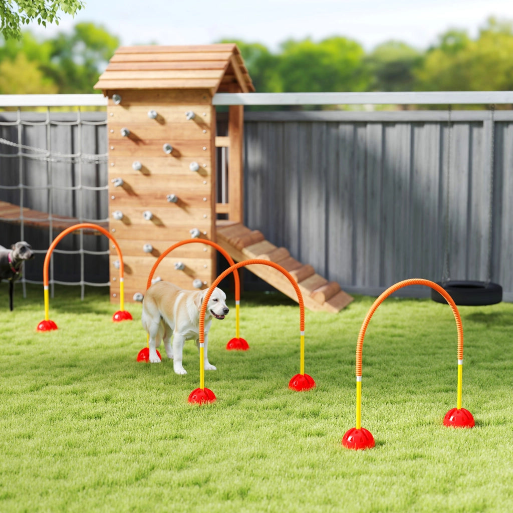 Set Agility 4 Pezzi per Cani ¨C zephmum ¨C Arancione 100x19.5x95 cm