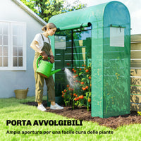 Serra da Giardino 170x68x200 cm Porta Avvolgibile e Finestre a Rete con Rivestimento in PE Verde