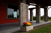 COMPOSIZIONE ORCHIDEA 120X44X180H