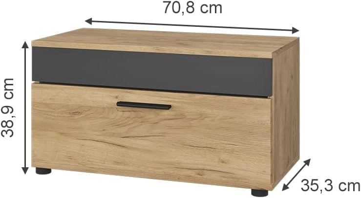 Mobiletto da soggiorno Berno, Quercia dorata/antracite, 70.8 x 38.9 cm con porta a battente, adatto per riporre libri e raccoglitori