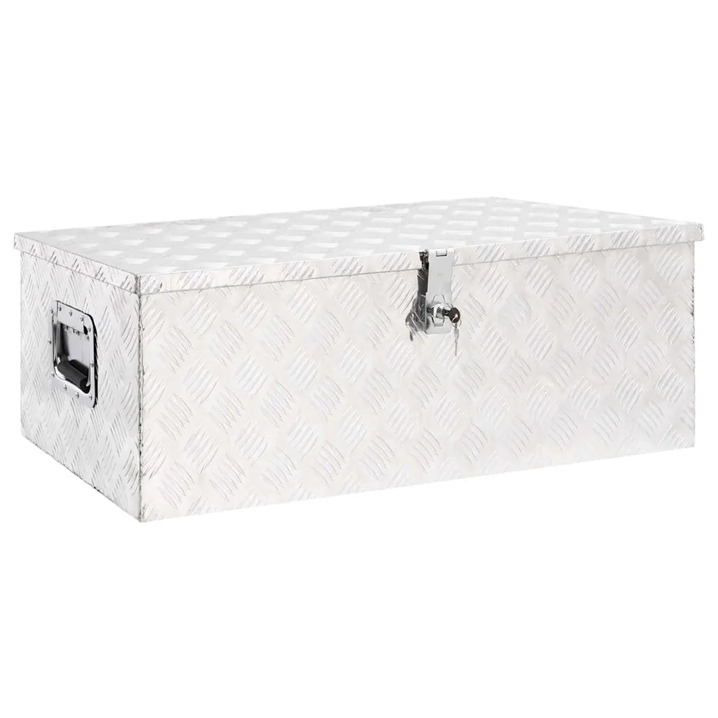 Contenitore Portaoggetti Argento 90x47x33,5 cm in Alluminio CFW6306599
