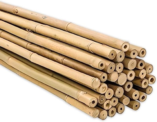 Stecchi di bambù da 60 cm confezione da 25 pezzi Ø 6-8 mm per piante di pomodoro, verdure e alberi - Supporti per piante in robusti tubi di bambù con diverse misure