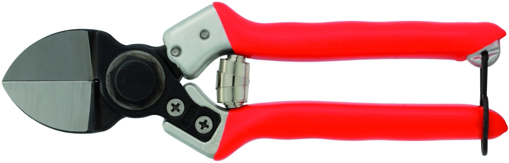Castellari FORBICI PER FRUTTETO LADY II cm. 21