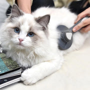 Kit di pettinatura per gatti e cani con setole corte, medie e lunghe per massaggi e pulizia