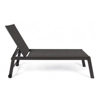 Lettino Prendisole Lounge con Ruote Sdraio da Giardino Antracite Resistente UV