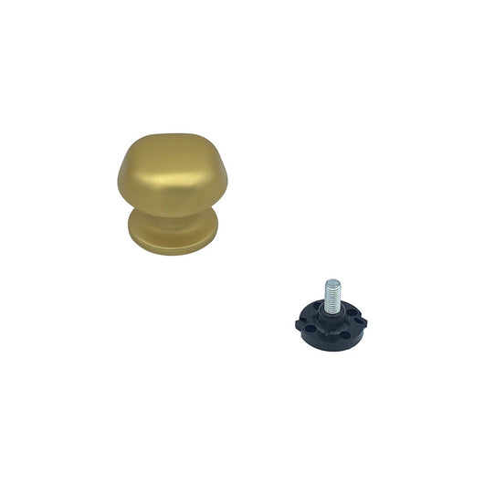 Pomolo fisso per porta SAGUATTI 172/60FB in alluminio oro satinato