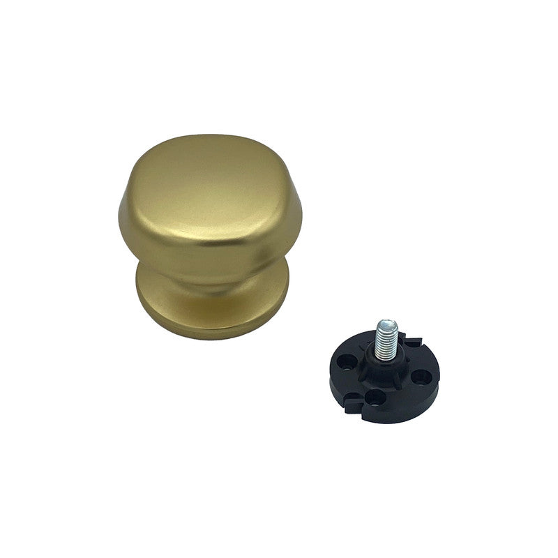 Pomolo fisso per porta SAGUATTI 172/70FB in alluminio oro satinato