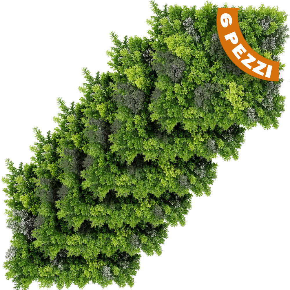 Set 6 Pannelli Decorativi Arredo Interni e Esterni Lichene da Muro Parete 50x50cm