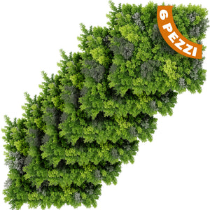 Set 6 Pannelli Decorativi Arredo Interni e Esterni Lichene da Muro Parete 50x50cm