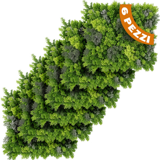 Set 6 Pannelli Decorativi Arredo Interni e Esterni Lichene da Muro Parete 50x50cm