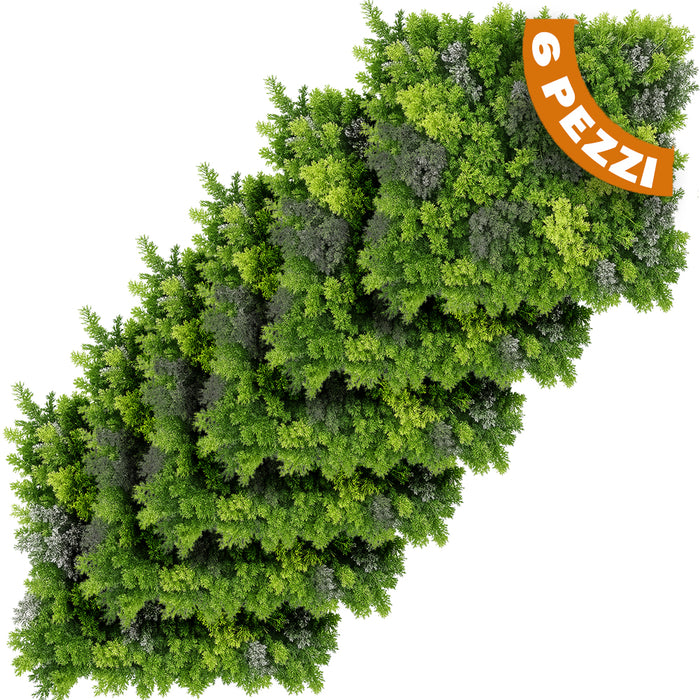 Set 6 Pannelli Decorativi Arredo Interni e Esterni Lichene da Muro Parete 50x50cm