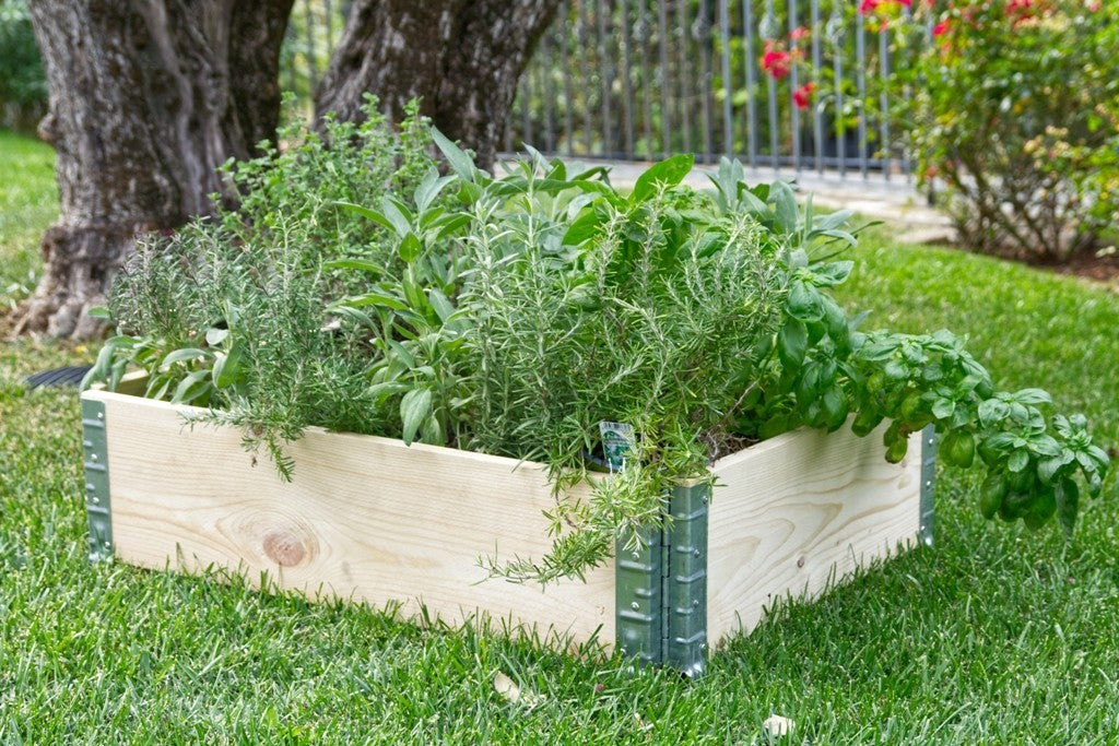 Fioriera Rosa 80x120xh20 in legno grezzo