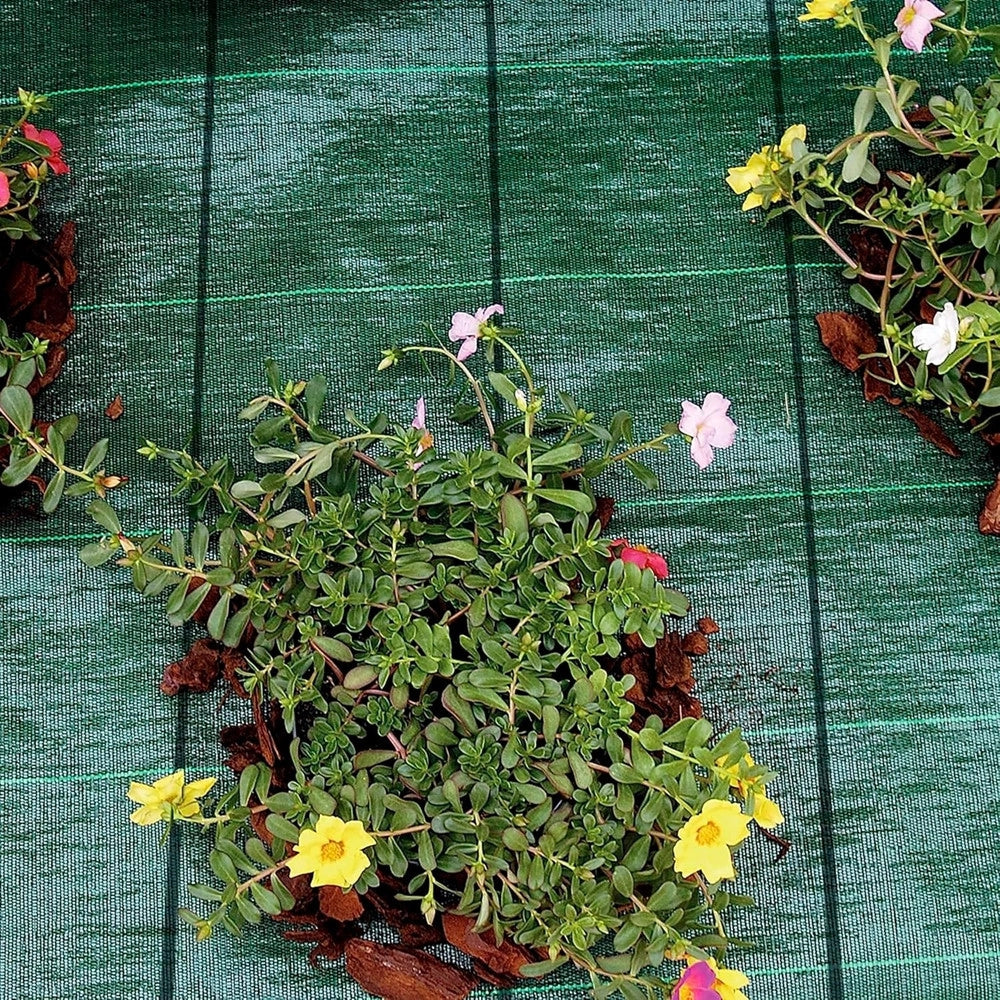 Trade Shop - Rete Telo Pacciamatura Anti Erba Per Orto Giardino Serra 2 X 10 Mt Resistente 222253 -