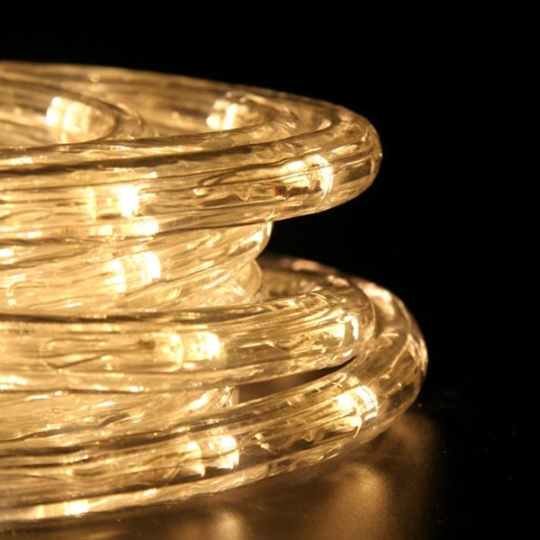 Tubo Luminoso a LED per Esterno Bianco Caldo 10 Metri con Controller Giochi Luce