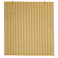 TENDA DA SOLE TAPPARELLA IN MIDOLLINO CM. 120X250H PER BALCONE E FINESTRA