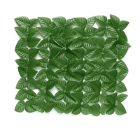 Arella sempreverde 300xh100 "Lauro Light"