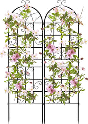Traliccio da Giardino in Metallo 180 x 50 CM, Set di 2/4 Pannelli di Recinzione da Esterno per Piante Rampicanti, Decorazione Esterna per Giardino, Cortile e Patio (2 Pannelli)