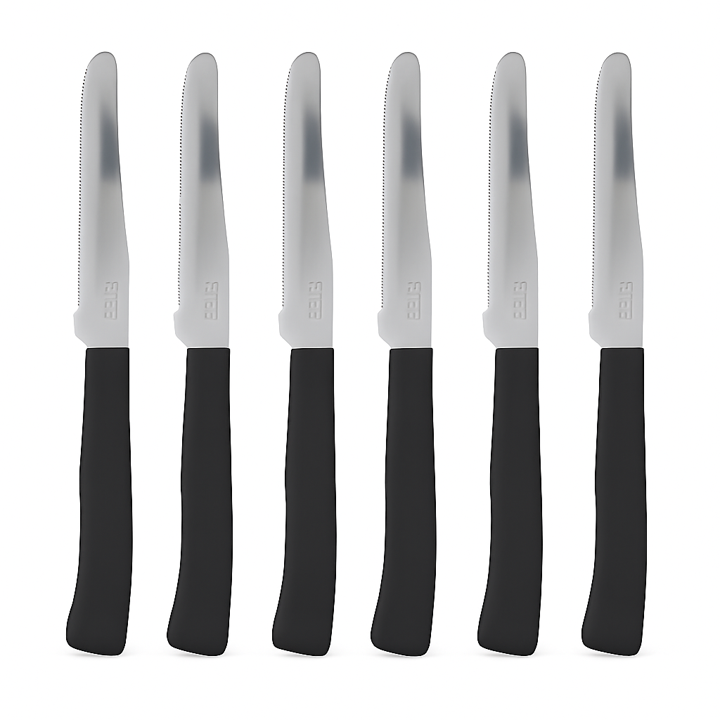 Coltelli da Tavola 24pz Manico in Polipropilene Doppia Affilatura 22cm Nero