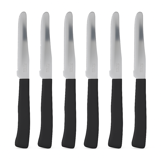 Coltelli da Tavola 24pz Manico in Polipropilene Doppia Affilatura 22cm Nero