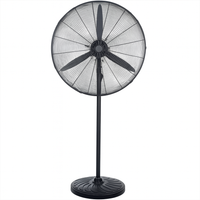 VENTILATORE A PIANTANA VE1960 D