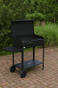 BARBECUE A CARBONE VANESSA CM.50X40X80H CON RUOTE
