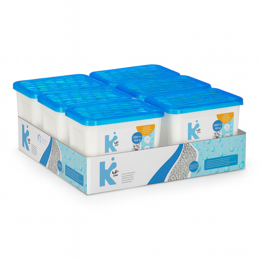 Deumidificatore Casa Portatile 6pz 1000ml contro Muffa Assorbi Umidità Aria pura