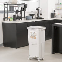 Pattumiera da Cucina Doppio Bidone 38 L Secchio con Separazione Rifiuti e Ruote