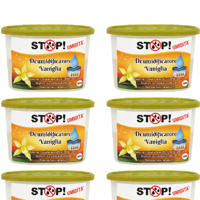 6pz Deumidificatore Casa Portatile 500ml contro Muffa Assorbi Umidità Vaniglia
