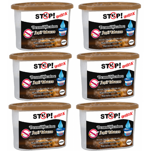 6pz Deumidificatore Casa Portatile 500ml contro Muffa Assorbi Umidità Antitabacco