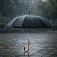 Kit 5 Ombrelli Automatici 8 Stecche Rinforzate Manico Curvo Uomo Donna Colori Misti