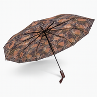 Kit 2 Ombrelli Grandi Donna 10 Stecche Apri e Chiudi Antivento Decorati