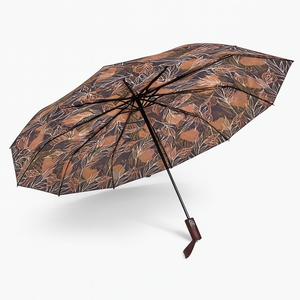 Kit 2 Ombrelli Grandi Donna 10 Stecche Apri e Chiudi Antivento Decorati