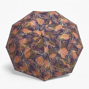 Kit 2 Ombrelli Grandi Donna 10 Stecche Apri e Chiudi Antivento Decorati