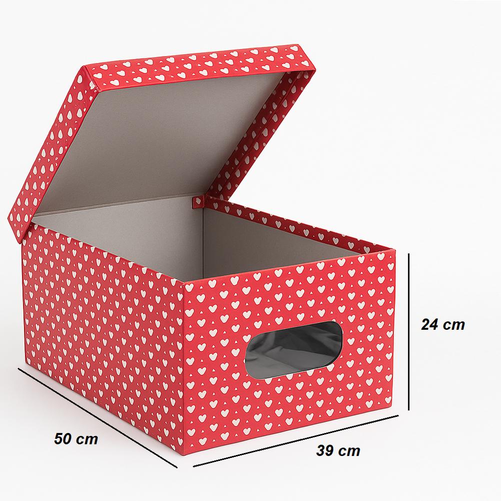 Kit 4pz Scatole Box Sistemazione Armadio in PVC Pieghevole 50x39 H24cm Col.Ass