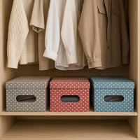 Kit 4pz Scatole Box Sistemazione Armadio in PVC Pieghevole 50x39 H24cm Col.Ass