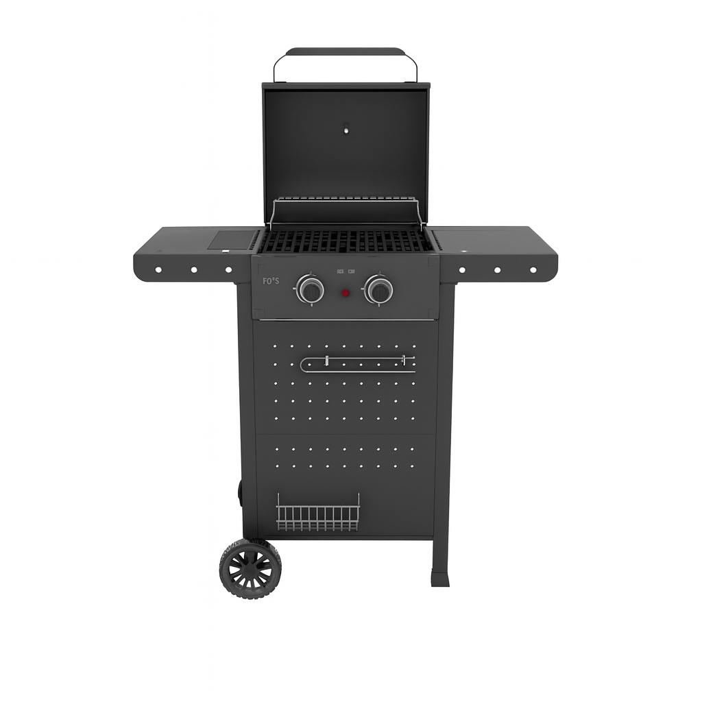 Barbecue a Gas 2 Fuochi HOT 2