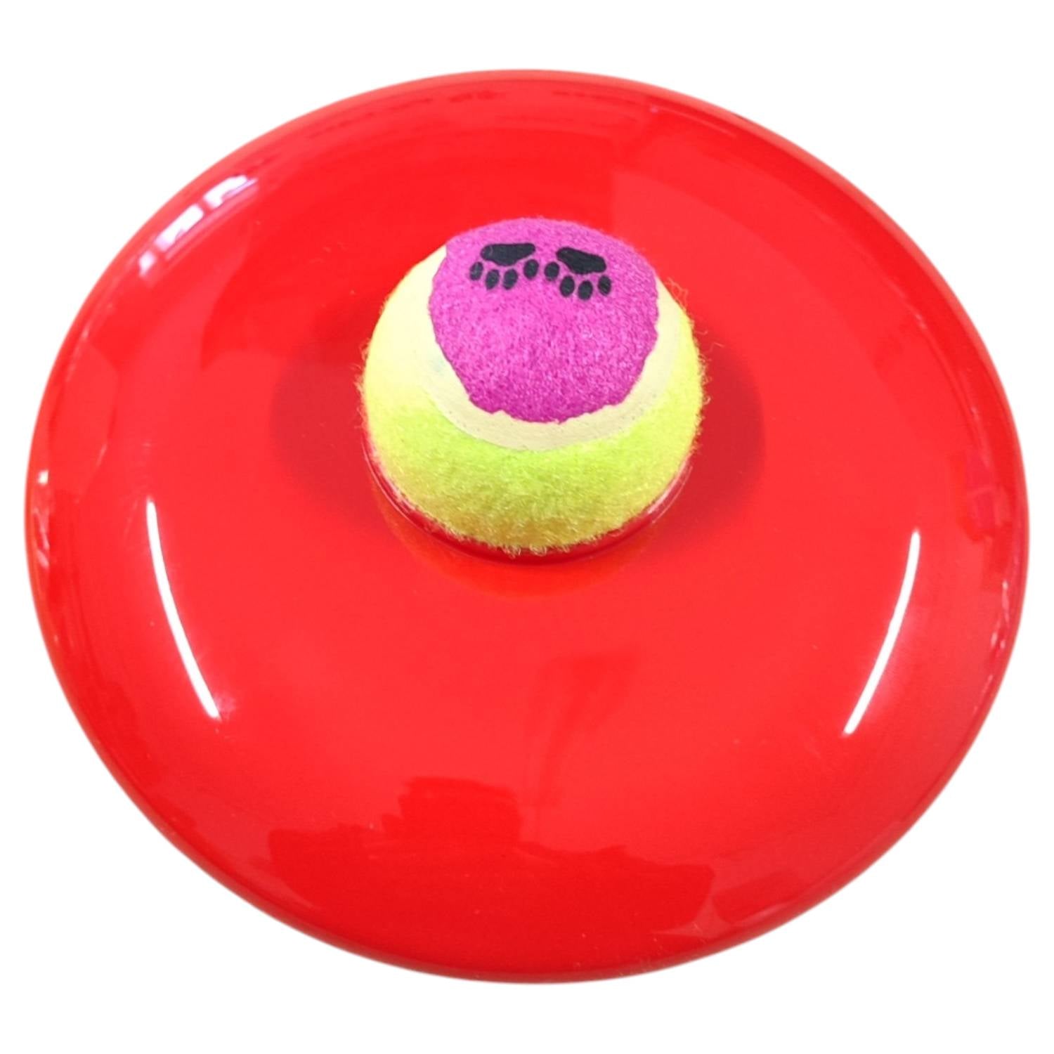 GIOCO PER CANI DA RIPORTO CON PALLINA DA TENNIS