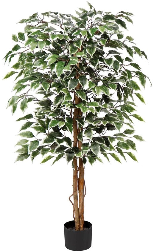 Pianta di Arte Grande Albero di Ficus Benjamini Pianta di Arte con Stelo di Legno Reale Ideale per la Decorazione Interna Verde Bianco