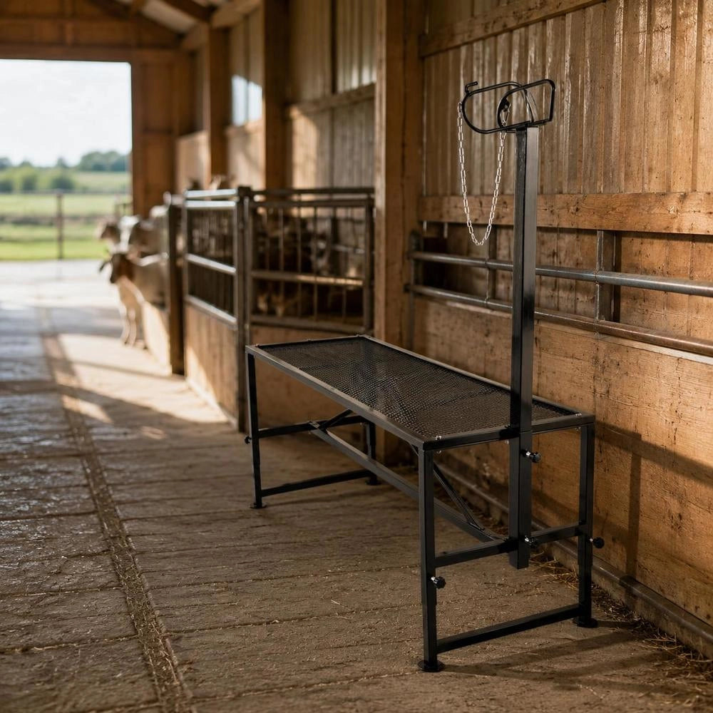 Cattle Stand 130 X 59 Cm, Trimming Stand With Straight Headpiece, Goat Trimming Stand Metal Frame, Sheep Shearing Stand, Cattle Trimming Stand