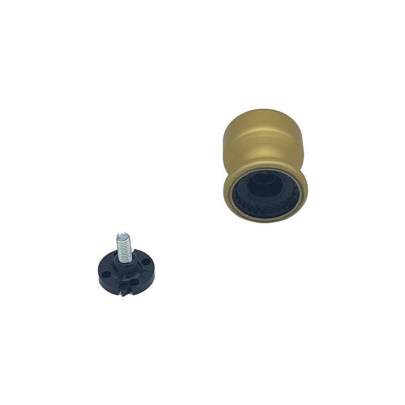 Pomolo fisso per porta SAGUATTI 175/50FB in alluminio oro satinato