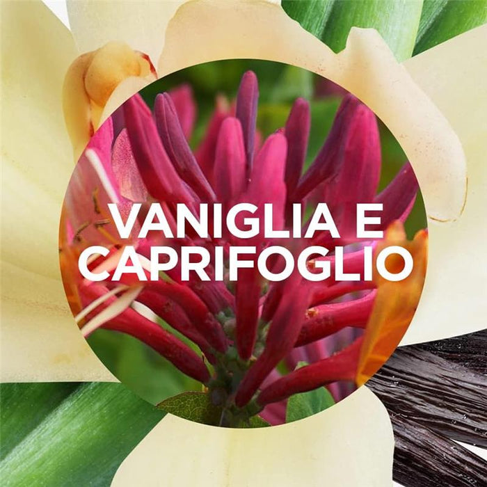 AIR WICK SET DA 3 DEODORANTE ACTIVE FRESH 228 ML RICARICA VANIGLIA E CAPRIFOGLIO