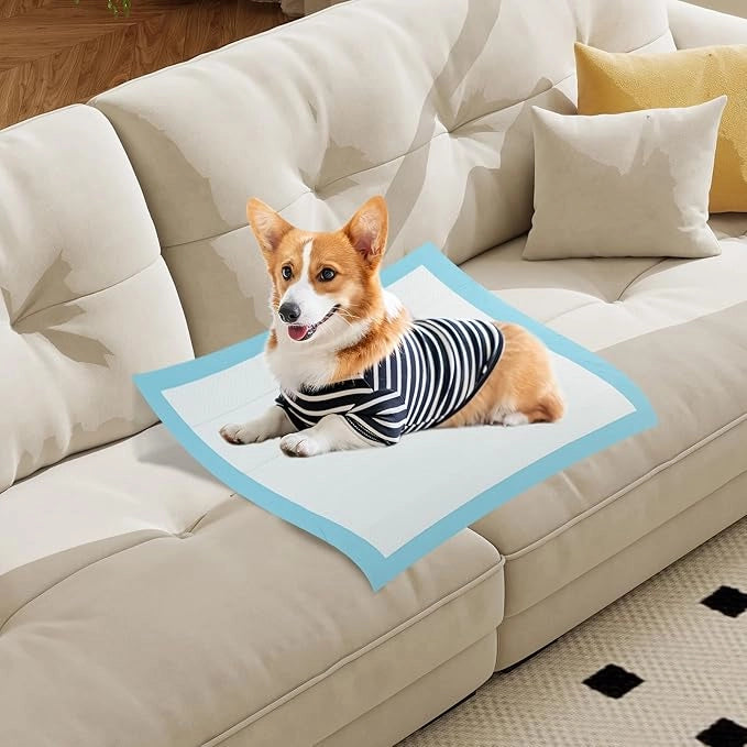 Tappetini Assorbenti per Cani, Tappetini da Interno ed Esterno per Animali Domestici a 6 Strati a Prova di Perdite, Asciugatura Rapida, Monouso per Urine, per Cagnolini (76 x 76 cm)