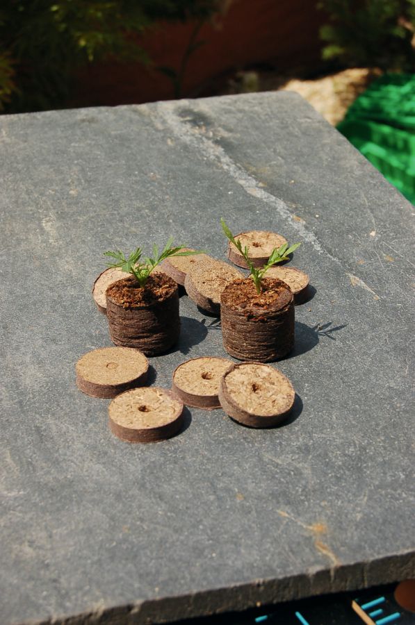 Tavolette di fibra di cocco d4 cm