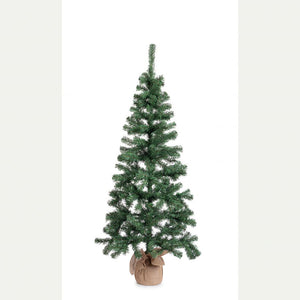 Albero cerano h165-287rami