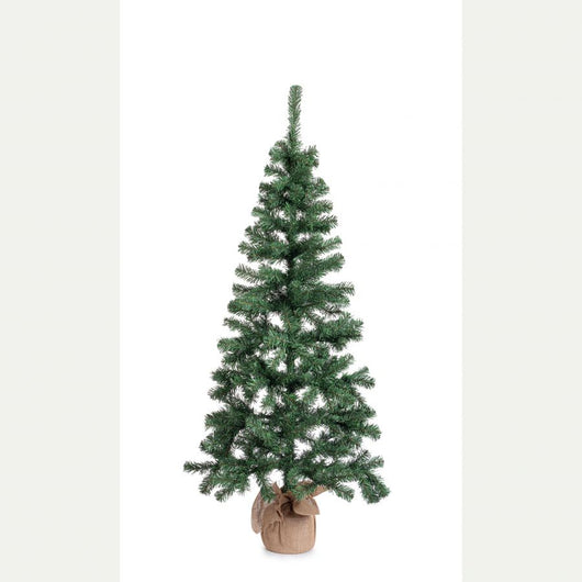 Albero cerano h165-287rami