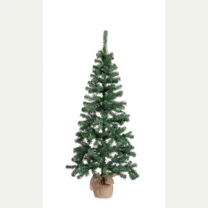 Albero cerano h165-287rami