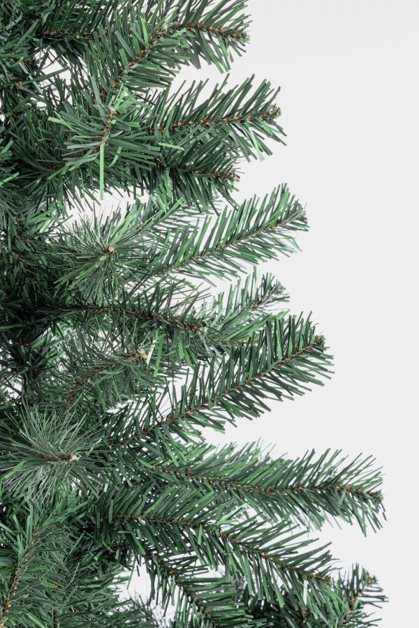 Albero cerano h165-287rami