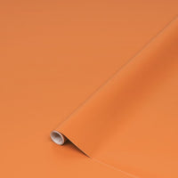 Plastica adesiva 45x200 terracotta