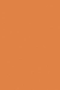 Plastica adesiva 45x200 terracotta