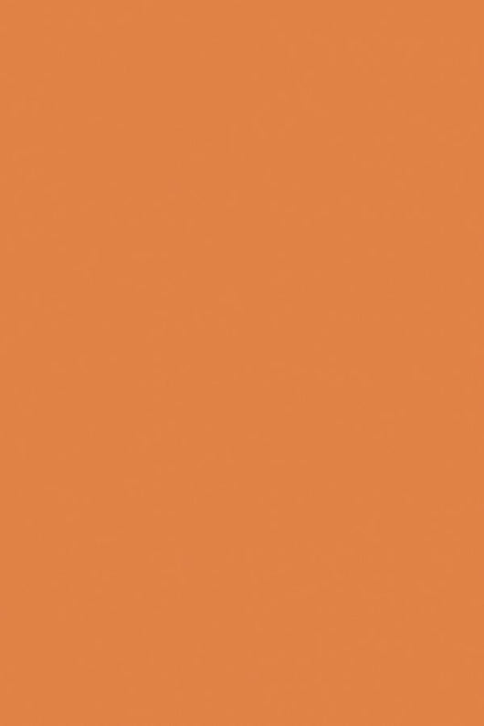 Plastica adesiva 45x200 terracotta